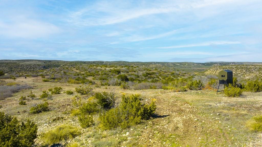 0 Poverty Canyon Road Robert Lee, TX 76945 - Photo 6 of 39 View of landscape