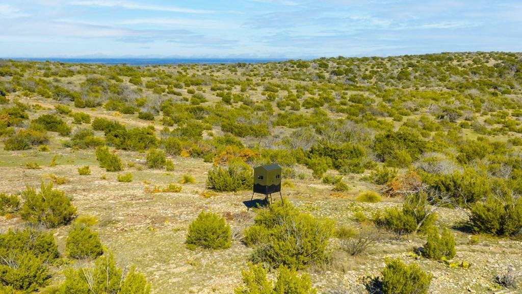 0 Poverty Canyon Road Robert Lee, TX 76945 - Photo 8 of 39 Birds eye view of property