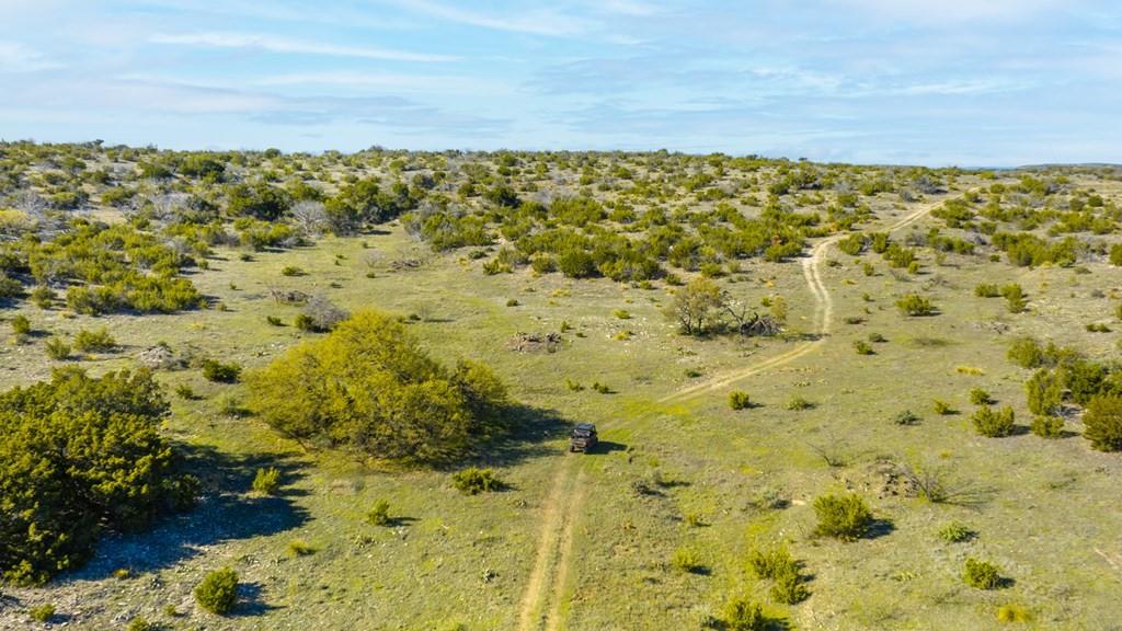 0 Poverty Canyon Road Robert Lee, TX 76945 - Photo 10 of 39 Birds eye view of property