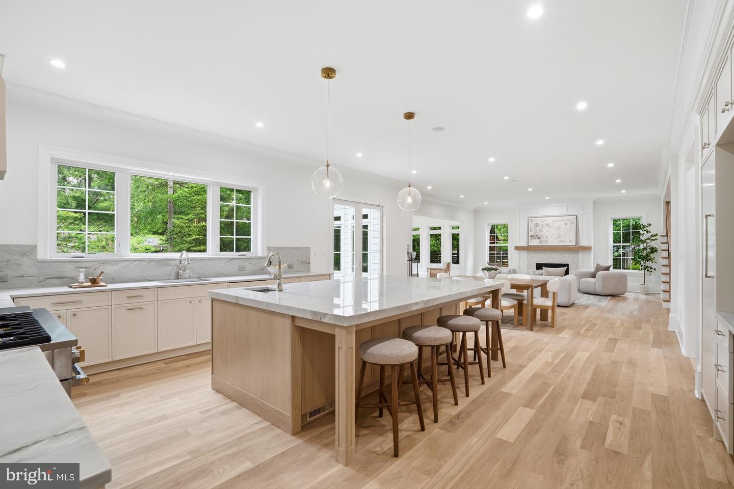 1142 Cameron Road Alexandria, VA 22308 - Photo 81 of 139 Gallery Image 81