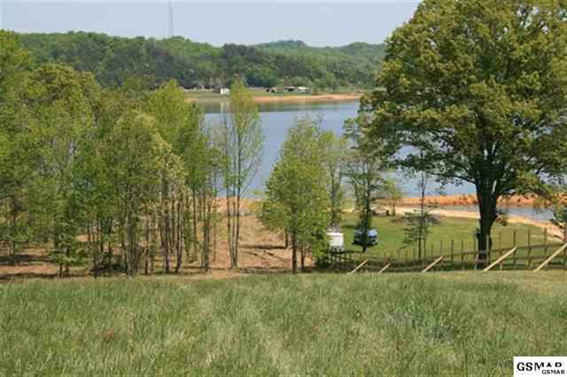Harrison Ferry Road Road White Pine, TN 37890 - Photo 1 of 4 Hix0