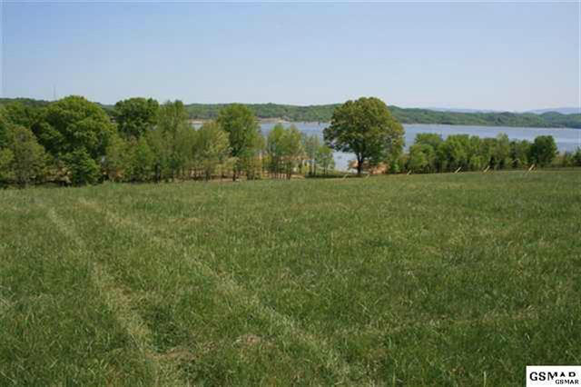 Harrison Ferry Road Road White Pine, TN 37890 - Photo 2 of 4 Hix1