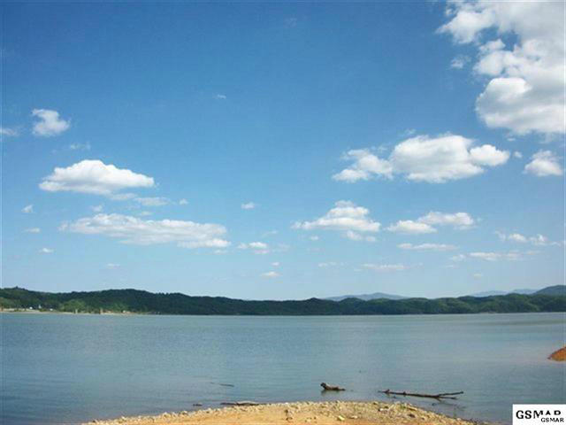 Harrison Ferry Road Road White Pine, TN 37890 - Photo 3 of 4 Hix2