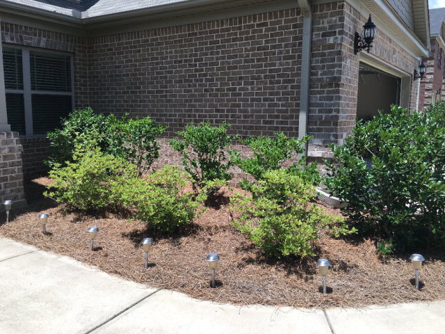 92 Sweetwater Branch Road Fort Mitchell, AL 36856 - Photo 26 of 32 Gallery Image 26