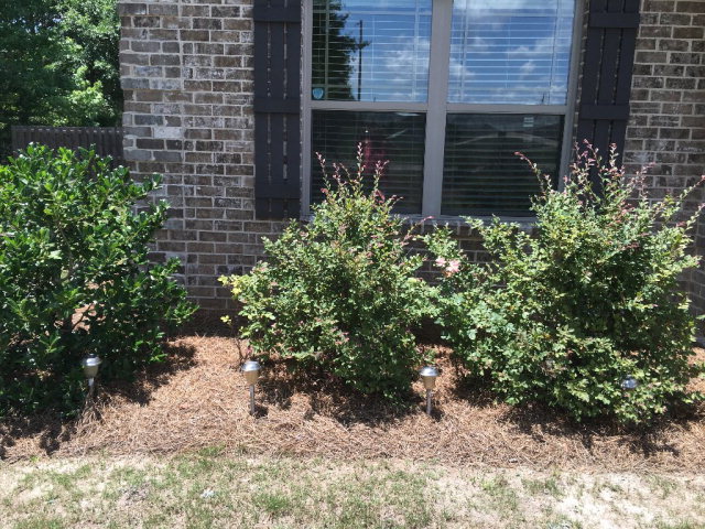 92 Sweetwater Branch Road Fort Mitchell, AL 36856 - Photo 28 of 32 Gallery Image 28