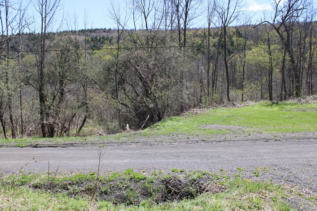 489 Ten Eyck Road Cobleskill, NY 12043 - Photo 15 of 19 View across road.