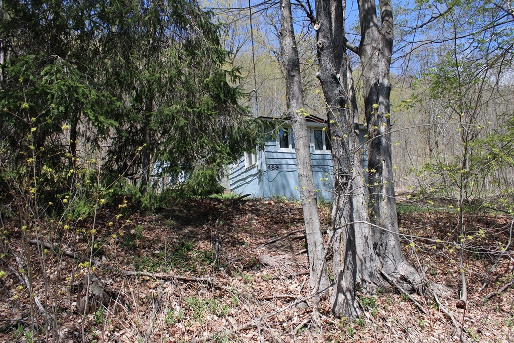 489 Ten Eyck Road Cobleskill, NY 12043 - Photo 16 of 19