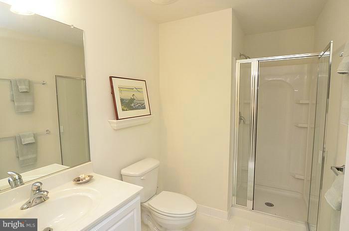 8256 Academy Road, Unit 7 Ellicott City, MD 21043 - Photo 24 of 29 Third Full Bath on Lower Level