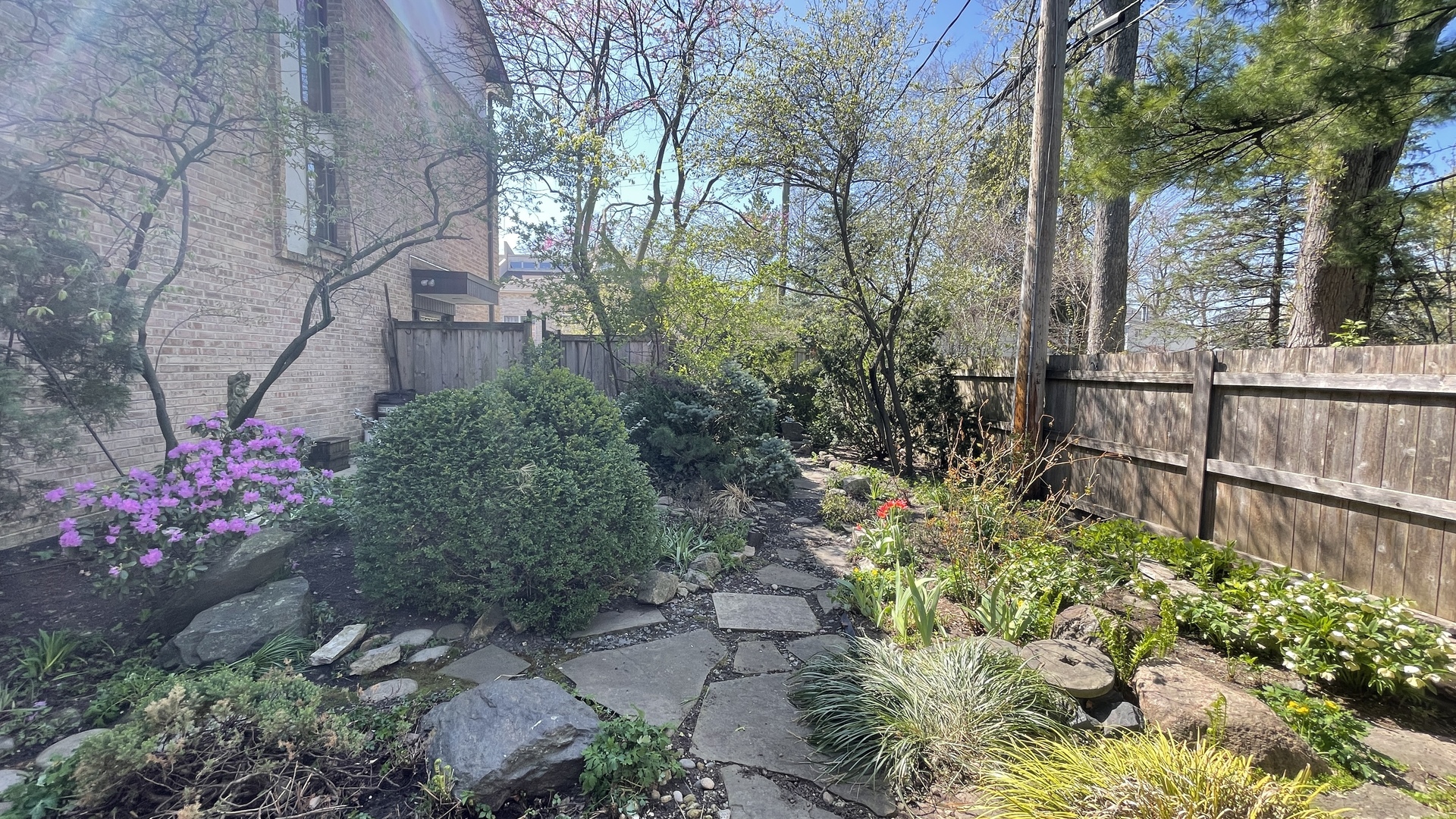 3709 Haas Avenue Riverside, IL 60546 - Photo 11 of 21 a view of a garden with flowers