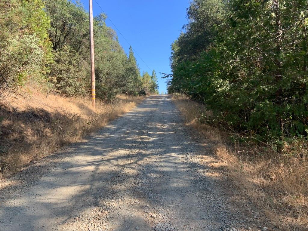17340 Scopar Road Grass Valley, CA 95949 - Photo 2 of 10 Gallery Image 2