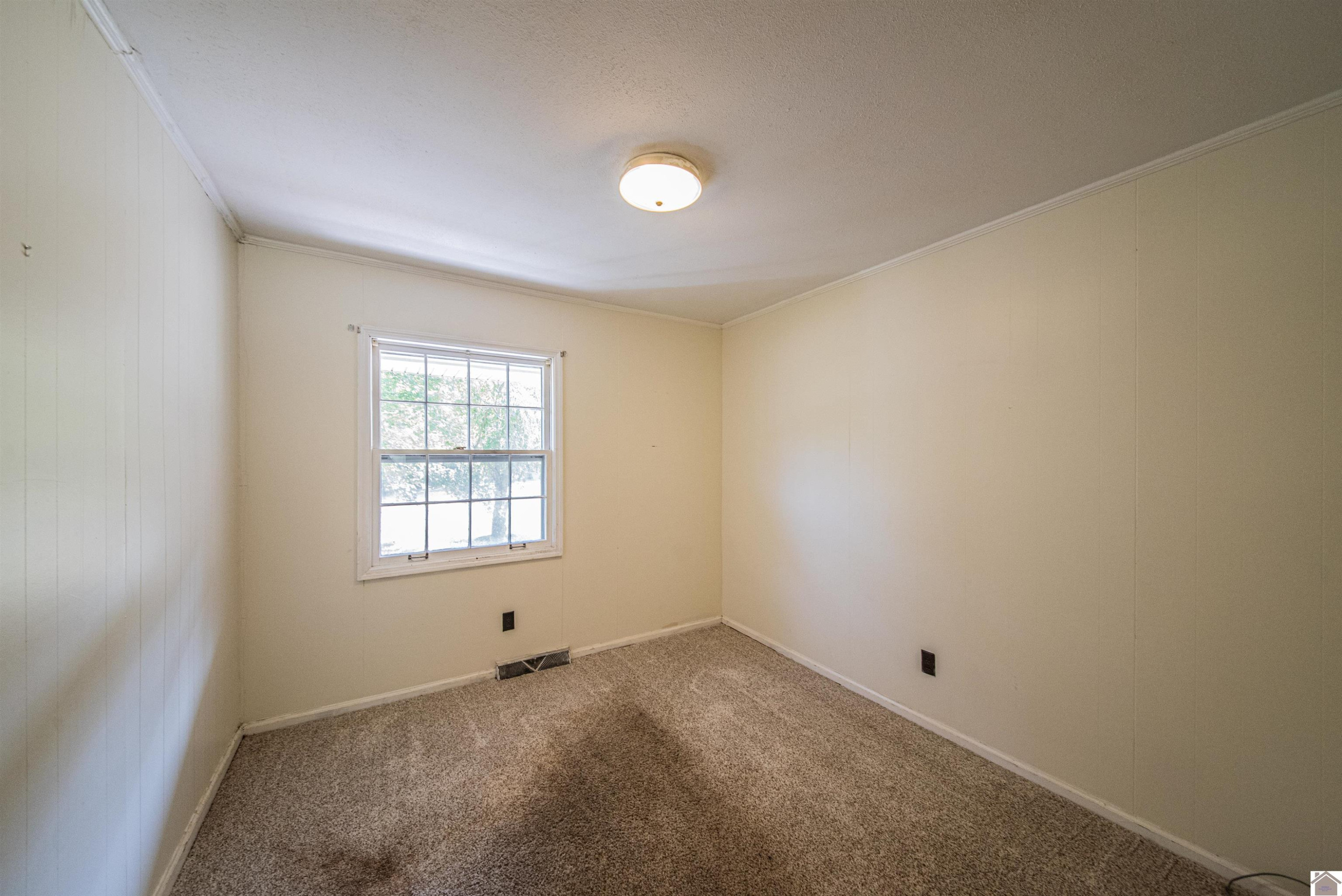 209 Crystal Lake Road Wickliffe, KY 42087 - Photo 14 of 32 Photo 14