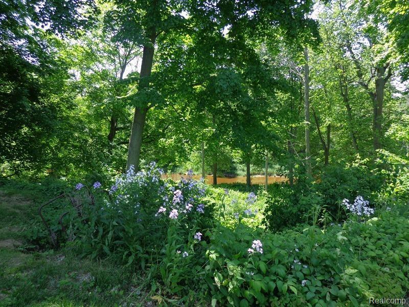 5068 Burns Line Road Croswell, MI 48422 - Photo 7 of 25 2014-06-09 14.25