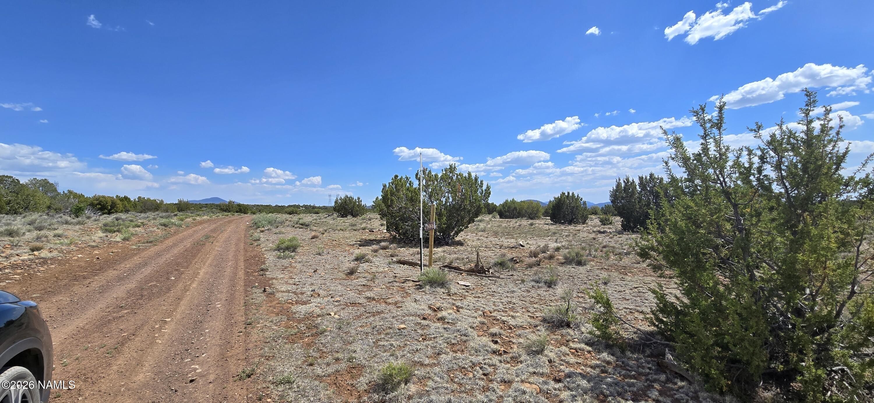 227 Mountain Cat Road Williams, AZ 86046 - Photo 13 of 13 a view of a yard