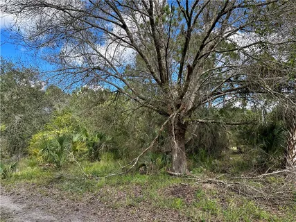 $225,000 | 0 85th Street, Fellsmere, FL 32948