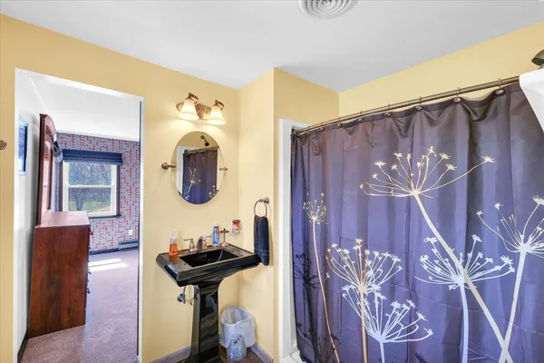 a bathroom with a sink a mirror and a shower