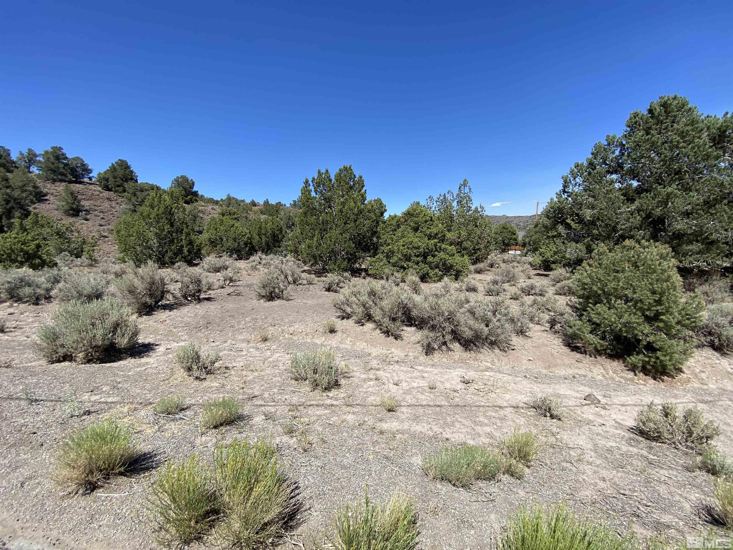 2590 Cartwright Road Reno, NV 89521 - Photo 1 of 4 a view of a dry yard with mountains in the background