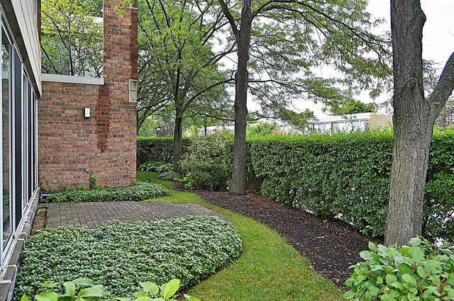 59 Avon Road Northbrook, IL 60062 - Photo 22 of 23 a view of a yard with plants and large trees