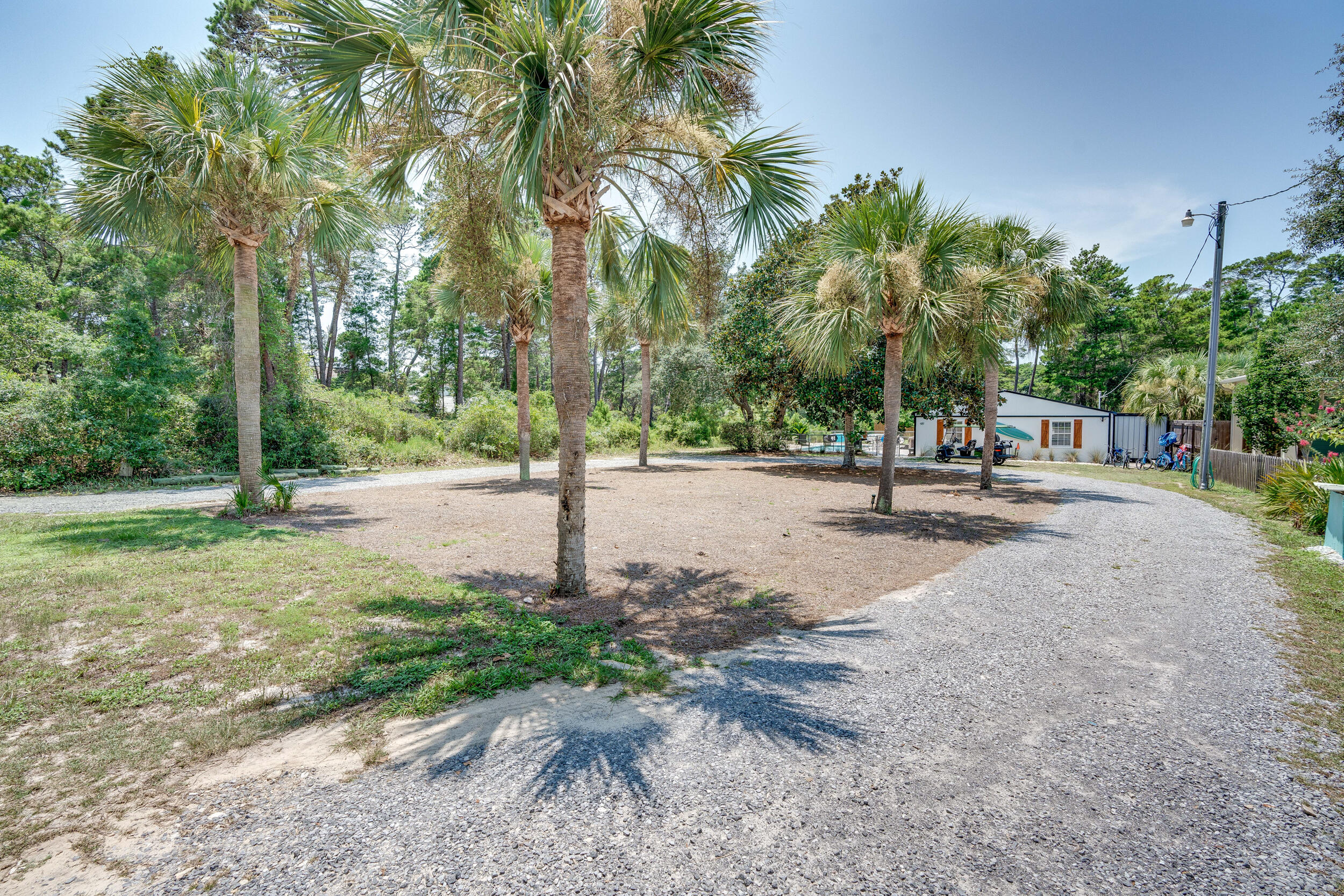 481 North Orange Street Inlet Beach, FL 32461 - Photo 41 of 57 a view of a tree with fire pit