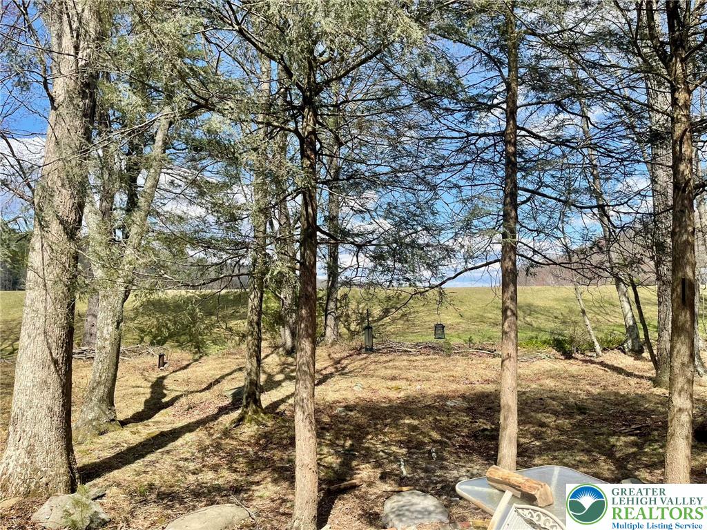 215 Outer Drive Dingmans Ferry, PA 18328 - Photo 20 of 26 Backyard