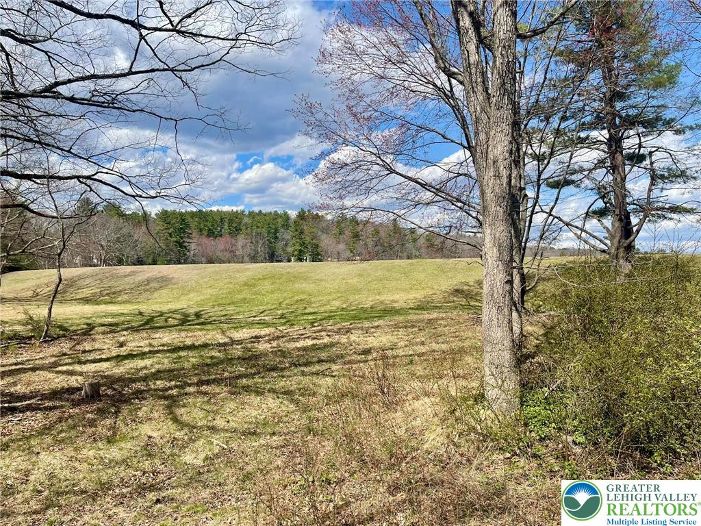 215 Outer Drive Dingmans Ferry, PA 18328 - Photo 23 of 26 Backyard