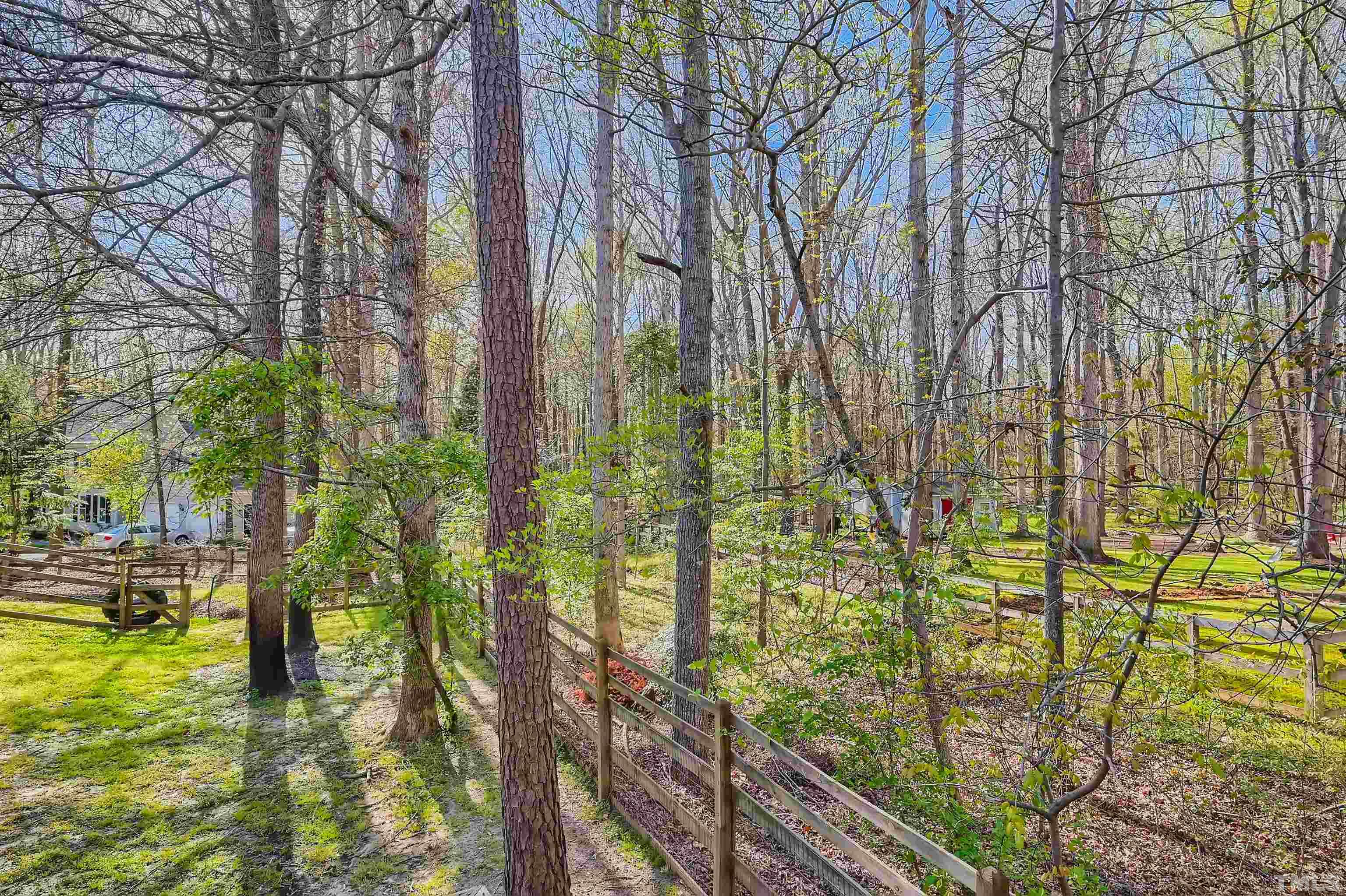 1705 Reynolda Court Raleigh, NC 27603 - Photo 27 of 28 a backyard of a house with lots of trees and plants