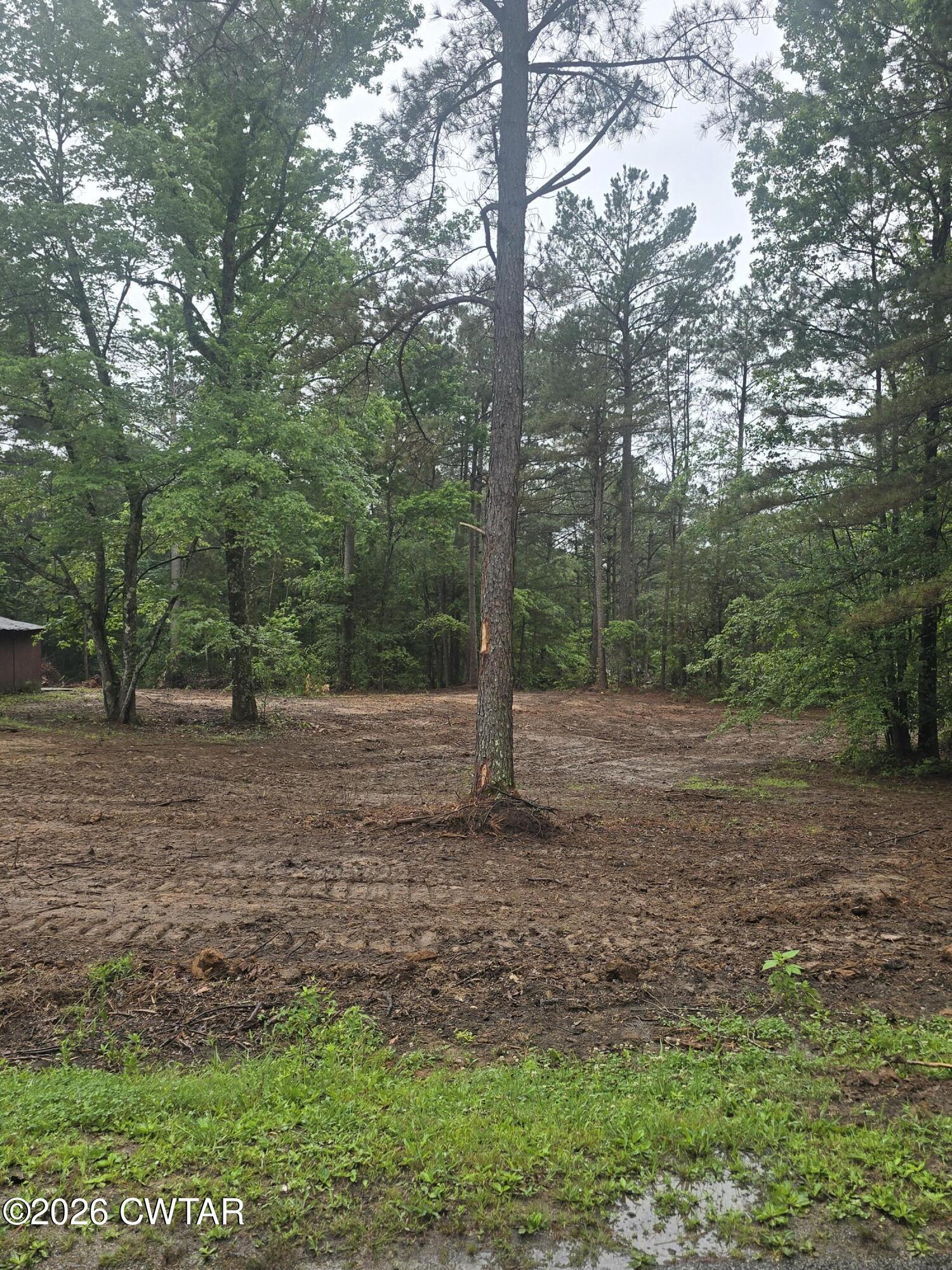 2580 Knuckles Road Henderson, TN 38340 - Photo 10 of 11 20260526_103707
