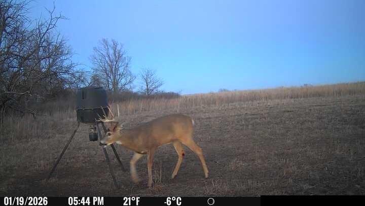 0 South Stanley Road Quenemo, KS 66528 - Photo 40 of 44