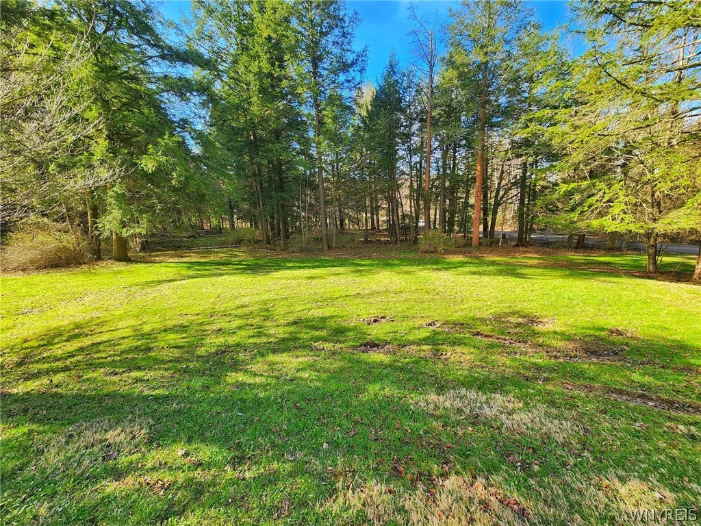 4924 Lower Edgar Road Napoli, NY 14755 - Photo 22 of 23