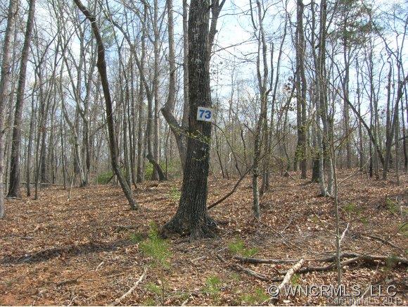 Lot#73 River Ridge Parkway Rutherfordton, NC 28139 - Photo 2 of 3