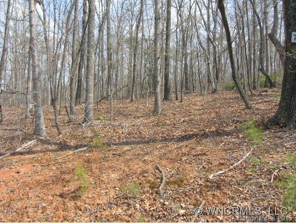 Lot#73 River Ridge Parkway Rutherfordton, NC 28139 - Photo 3 of 3