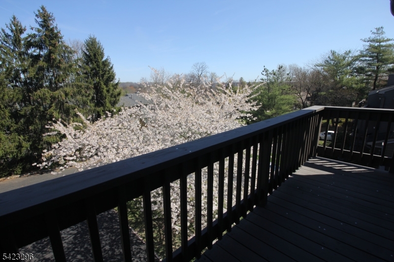 37 Melrose Road Princeton, NJ 08540 - Photo 23 of 37
