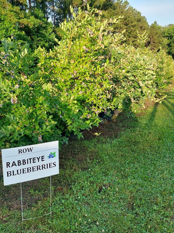 56265 Griffin Road Callahan, FL 32011 - Photo 14 of 29 Gallery Image 14