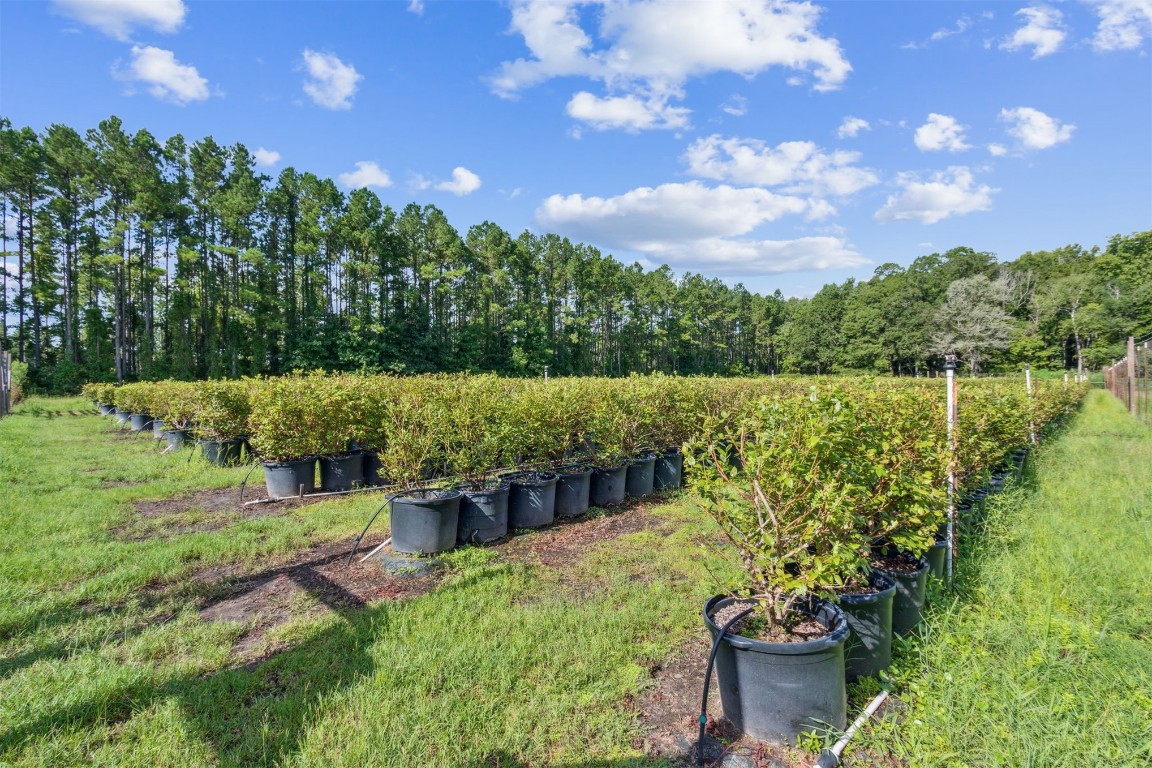 56265 Griffin Road Callahan, FL 32011 - Photo 25 of 29 Gallery Image 25