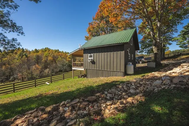 a view of a yard with a tree