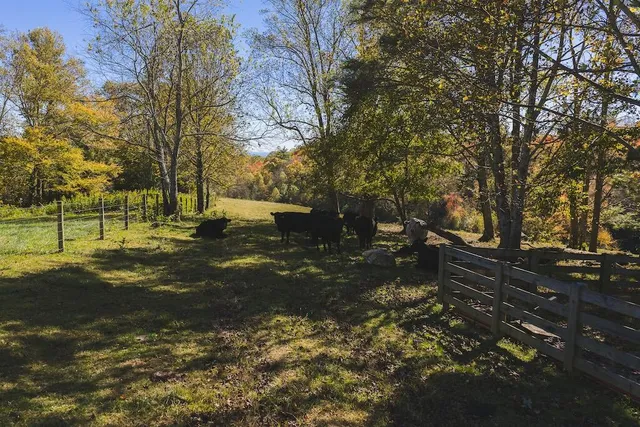 a view of a field with trees in the background