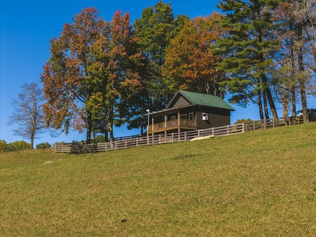 a view of a yard with a tree