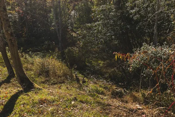 $399,000 | 2038 Pilot View Drive, Hillsville, VA 24343