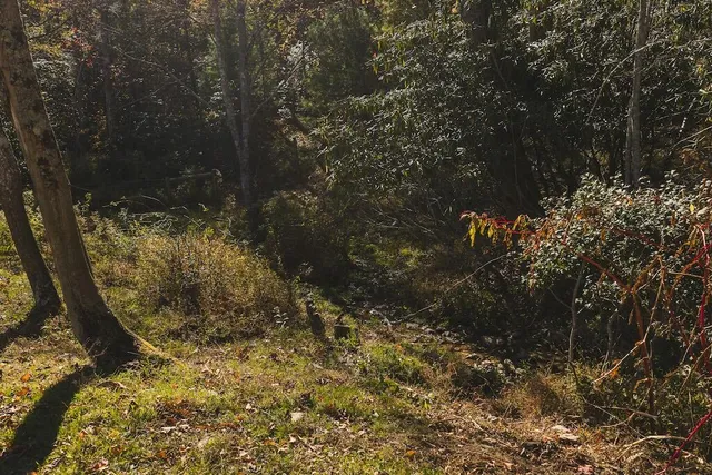 $399,000 | 2038 Pilot View Drive, Hillsville, VA 24343