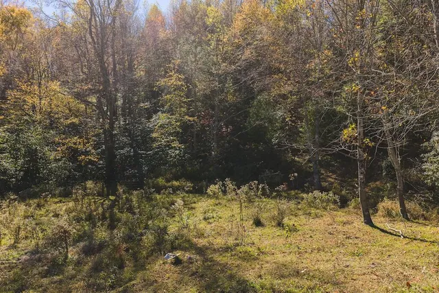 $399,000 | 2038 Pilot View Drive, Hillsville, VA 24343