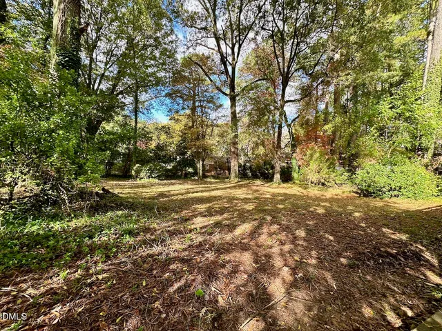 a view of a yard with a tree