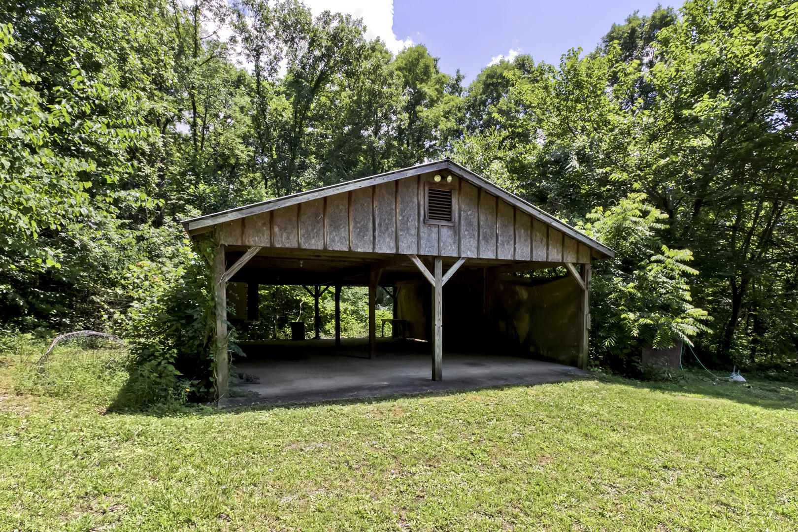 2617 Lamontville Road Decatur, TN 37322 - Photo 39 of 40 39_LamontvilleRoad_2617_FreeStandingCarp