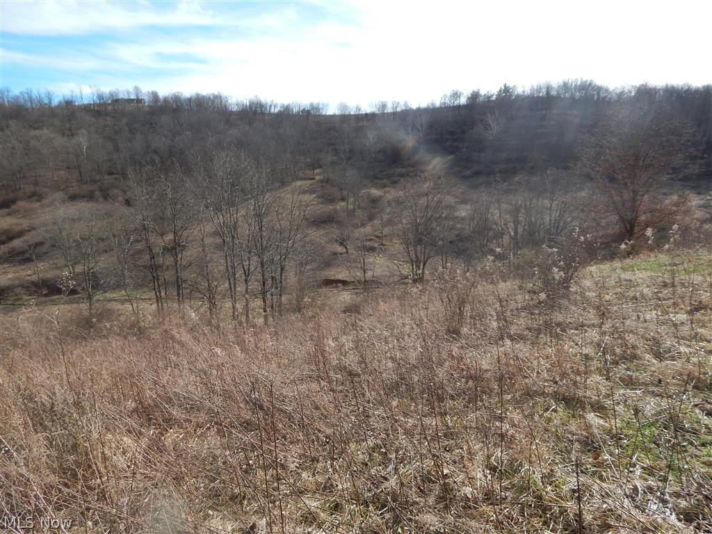 Morehead Ridge Elizabeth, WV 26143 - Photo 5 of 5