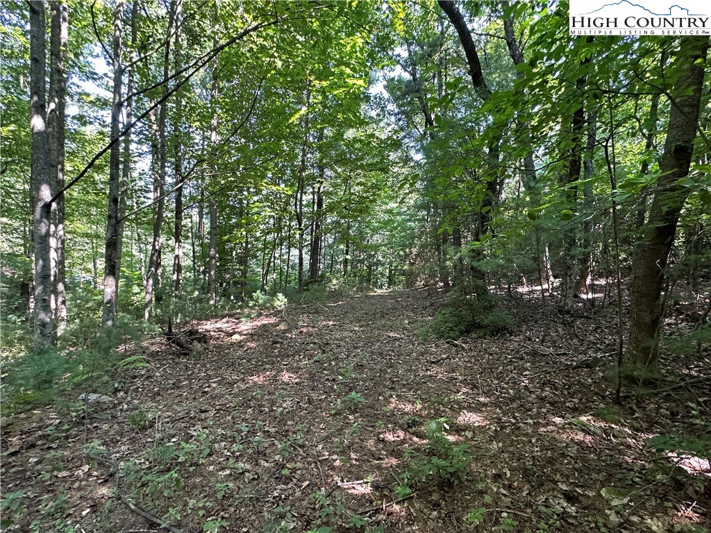 Lot 18 East Cielo Ridge Way Purlear, NC 28665 - Photo 11 of 30