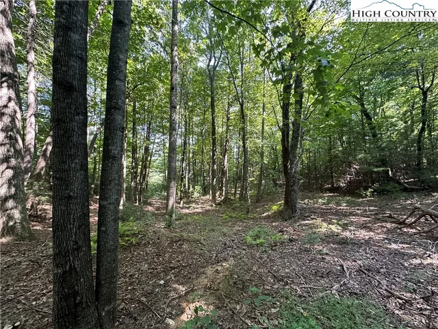 $69,500 | Lot 18 East Cielo Ridge Way, Purlear, NC 28665