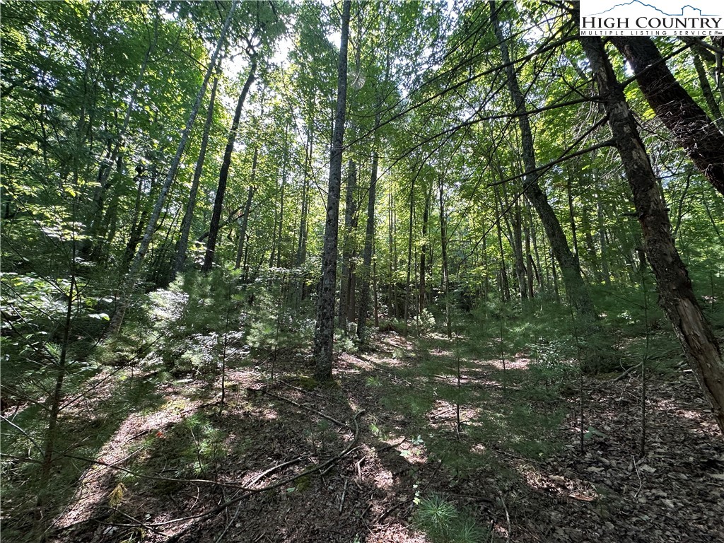 Lot 18 East Cielo Ridge Way Purlear, NC 28665 - Photo 13 of 30