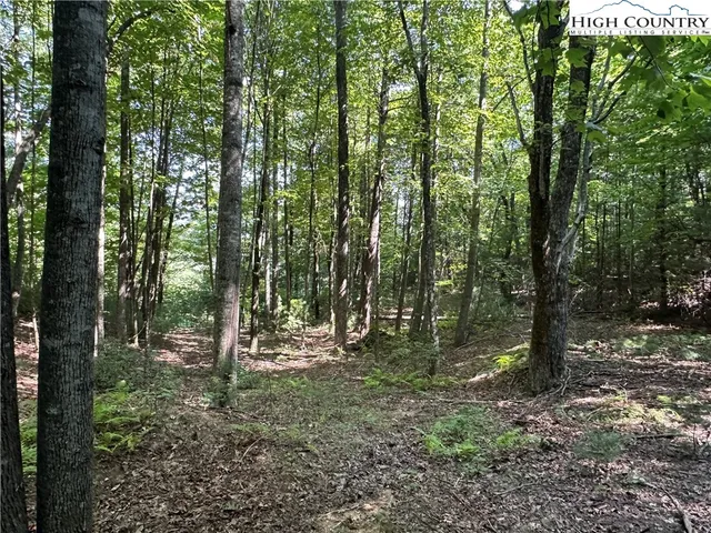 $69,500 | Lot 18 East Cielo Ridge Way, Purlear, NC 28665
