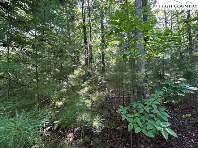 $69,500 | Lot 18 East Cielo Ridge Way, Purlear, NC 28665