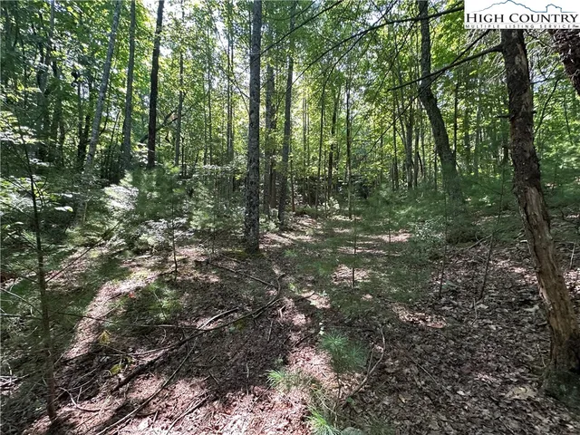 $69,500 | Lot 18 East Cielo Ridge Way, Purlear, NC 28665