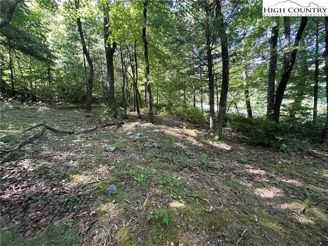 $69,500 | Lot 18 East Cielo Ridge Way, Purlear, NC 28665