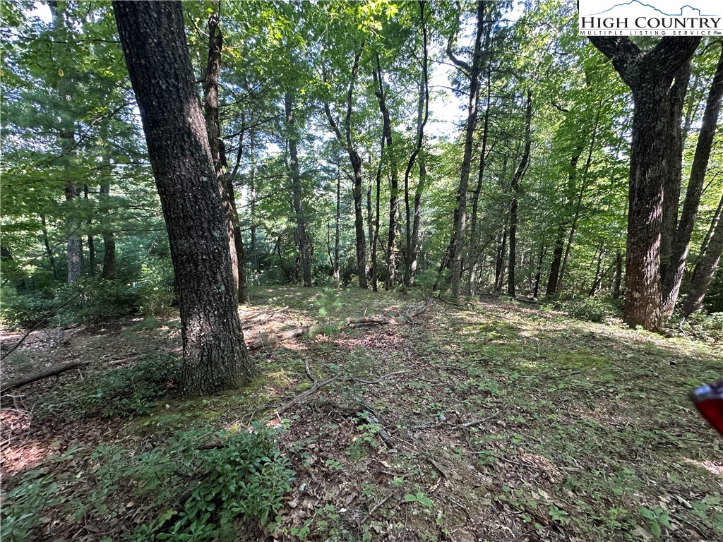 Lot 18 East Cielo Ridge Way Purlear, NC 28665 - Photo 9 of 30